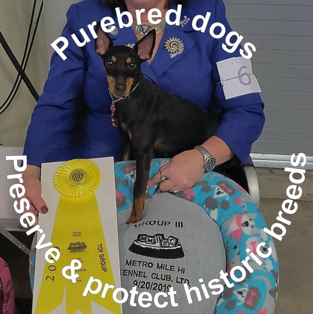 Meet your Posher, Heidi